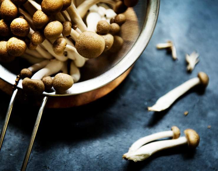 چالش‌های ادغام قارچ‌های دارویی و راه‌حل‌های عملی